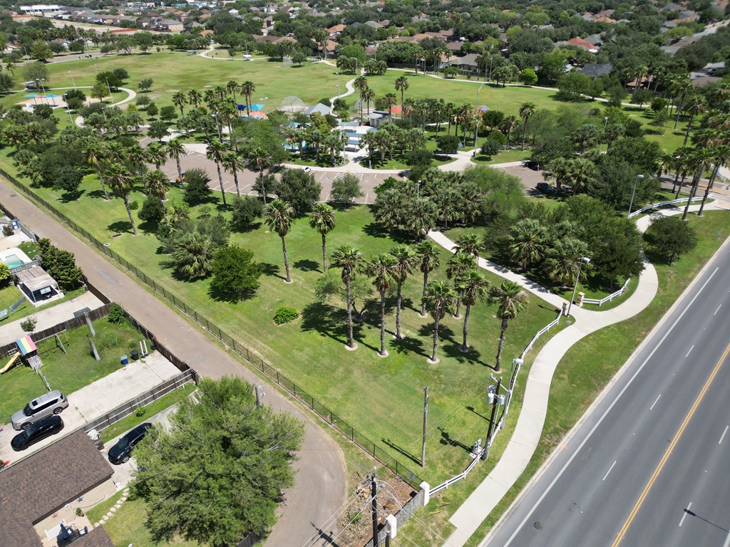 A road runs through a green park with palm trees.