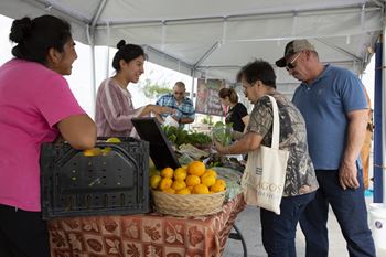 A woman in a pink shirt is standing in front of a table with a basket of oranges on it.