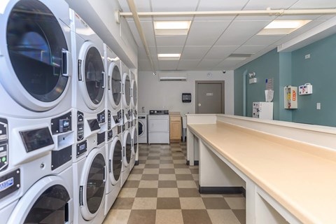 A row of front-loading washing machines are lined up in a laundromat.