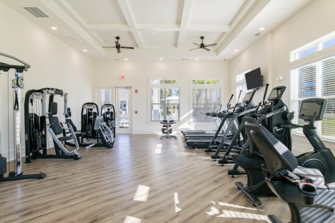 A gym with a variety of exercise equipment including treadmills, elliptical machines, and weight machines.