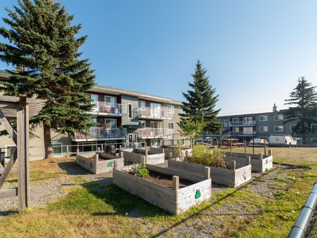 A sunny day at a residential area with apartment buildings and raised garden beds.