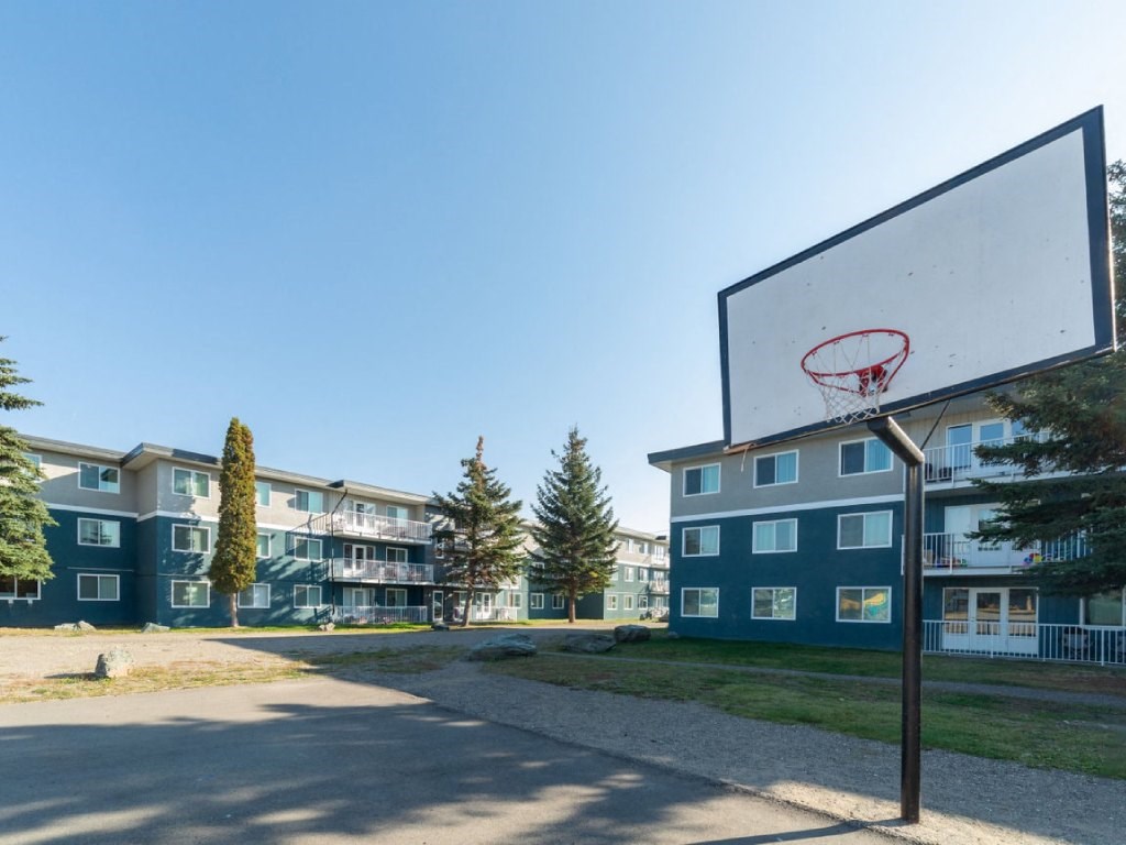 A basketball hoop is in the foreground of a residential area with apartment buildings in the background.