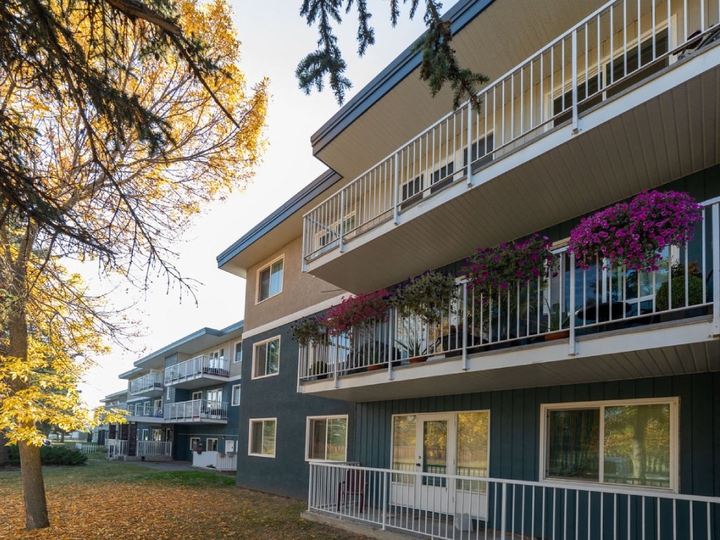 A tree with yellow leaves is in front of a building with balconies.