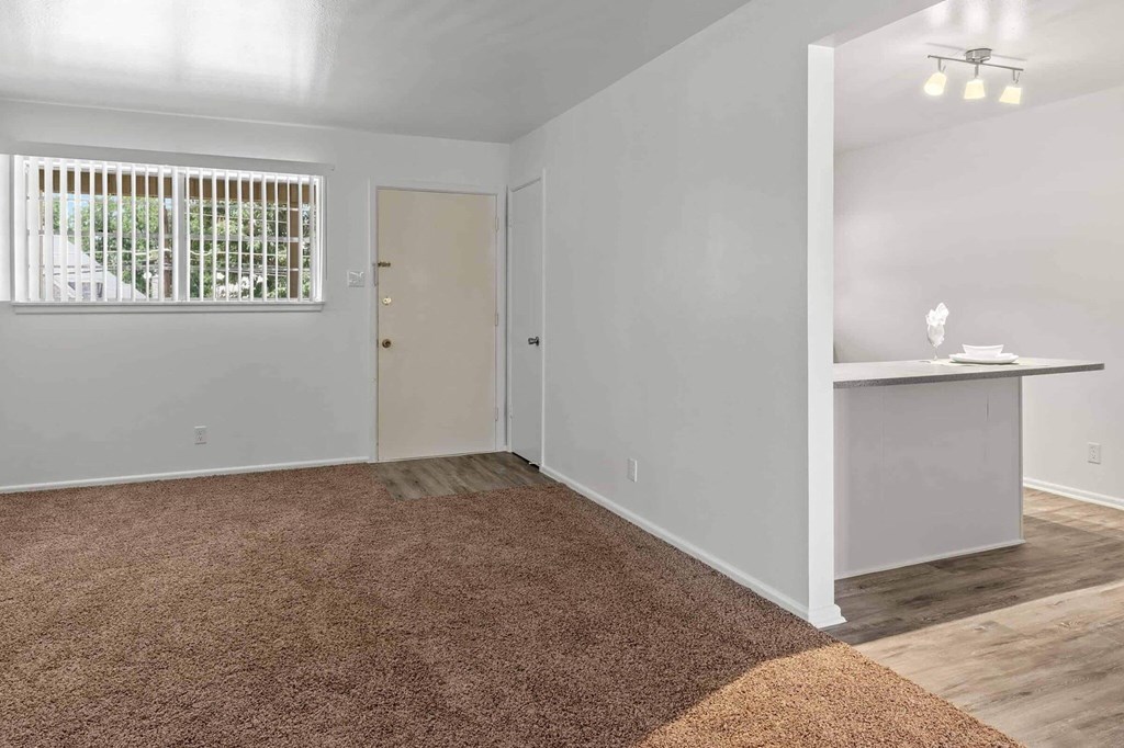 A room with a brown carpet and a white door.