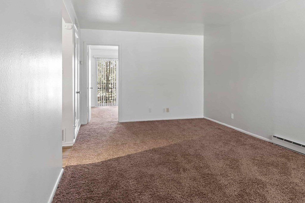 A room with white walls and a brown carpet.
