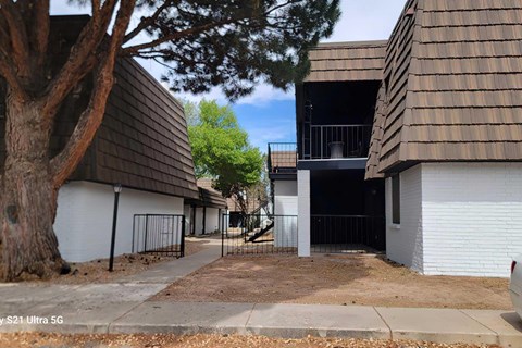 A tree is in front of a white house.