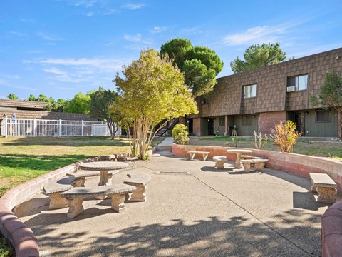 A courtyard with a tree, benches, and a building in the background.
