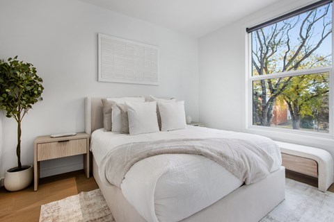A white bedroom with a large bed and a potted plant.