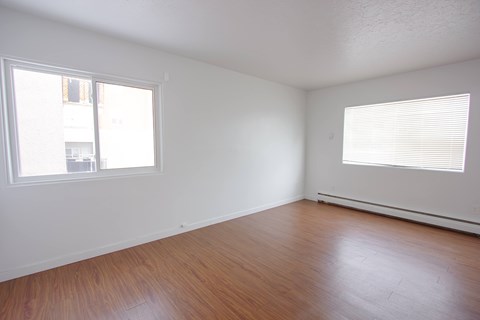 Empty room with wooden floor and two windows.