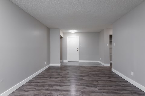 A room with a wooden floor and a white door.