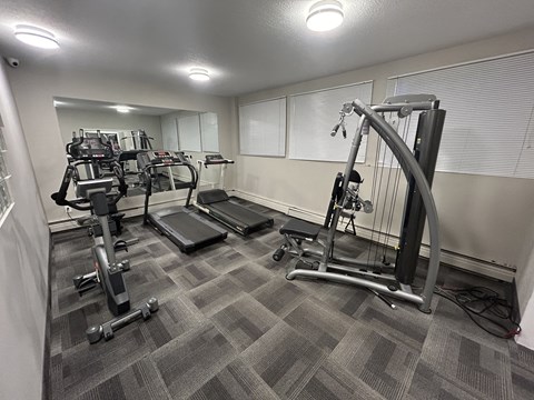 A gym with a variety of equipment including treadmills, weights, and a bench press.