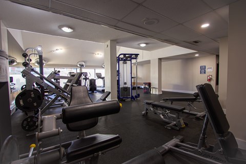 A gym with a variety of equipment including weights and machines.