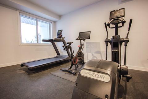 A home gym with a treadmill, exercise bike, and weights.