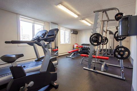 A gym with a treadmill, weights, and exercise equipment.