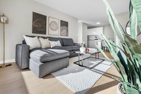A living room with a grey couch and a grey ottoman.