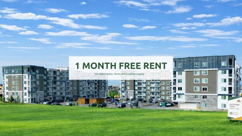 A sign offering a free one month rent is displayed in front of apartment buildings.
