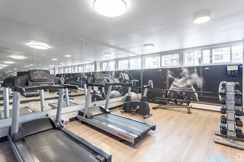 A gym with treadmills, elliptical machines, and other exercise equipment.