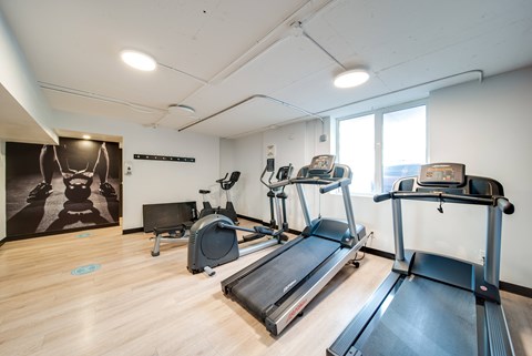 A gym with treadmills and elliptical machines.