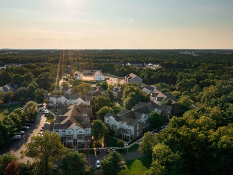 A sunny day in a residential neighborhood with houses and trees.