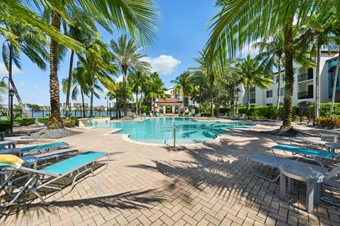 A pool surrounded by palm trees and sun loungers.