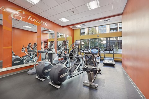 A gym with a variety of equipment including treadmills, stationary bikes, and weight machines.