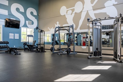 A gym with a blue wall and a large mural of people exercising.