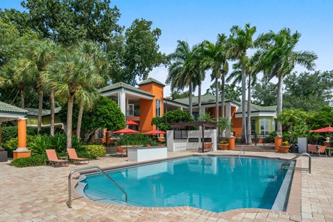 A swimming pool in a backyard with a house and palm trees.