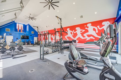 A gym with a row of treadmills and a row of weight machines.