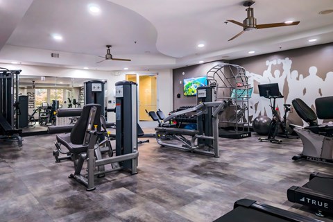 A well-equipped gym with a variety of machines and weights.
