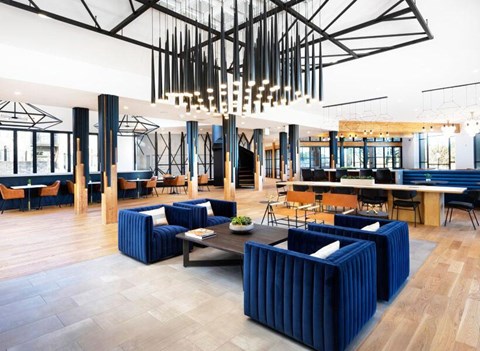 A modern living room with blue couches and a wooden floor.