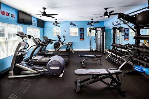 A gym with a variety of equipment including treadmills, weights, and a bench press.
