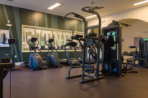 A gym with treadmills, elliptical machines, and other exercise equipment.