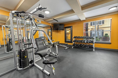 A gym with a weight bench, dumbbells, and a cable machine.