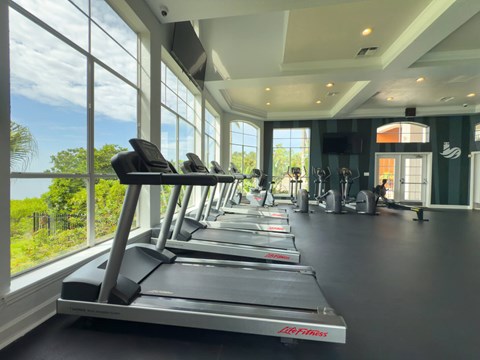 A gym with treadmills and a view of the outdoors through large windows.