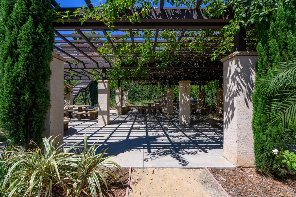 A patio area with a pergola and a variety of plants.