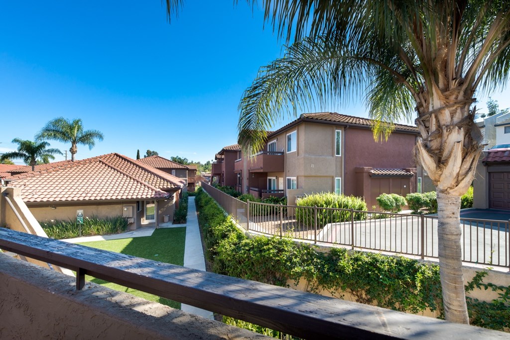 A row of houses with a palm tree in front.