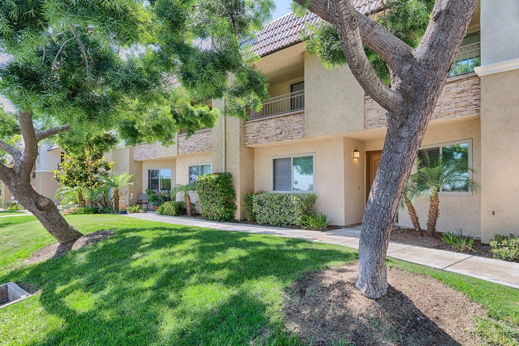 A tree in front of a house.