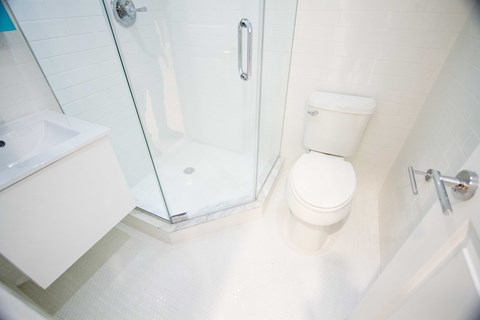 A white toilet sits next to a glass shower door in a bathroom.