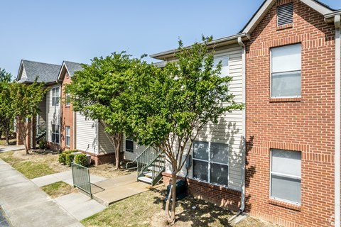 A tree in front of a brick house.