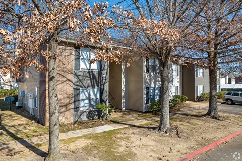 A tree with brown leaves stands in front of a building.