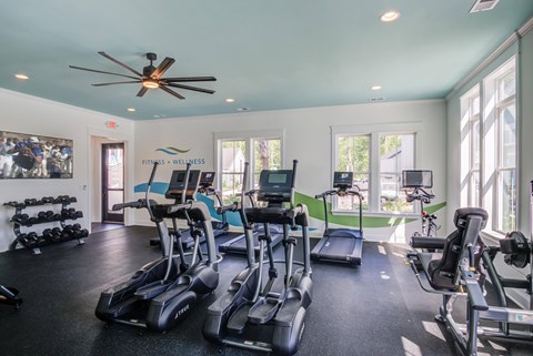 A gym with treadmills, elliptical machines, and a fan.