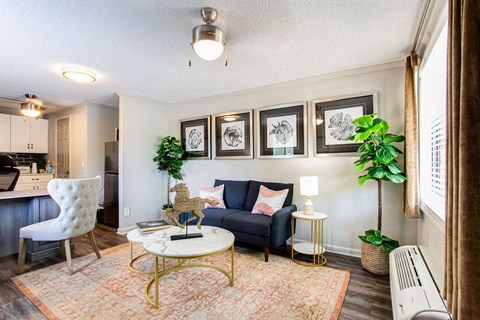 A living room with a white chair, a black couch, a coffee table, and a rug.