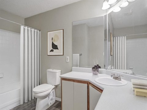 A bathroom with a toilet, sink, and mirror.