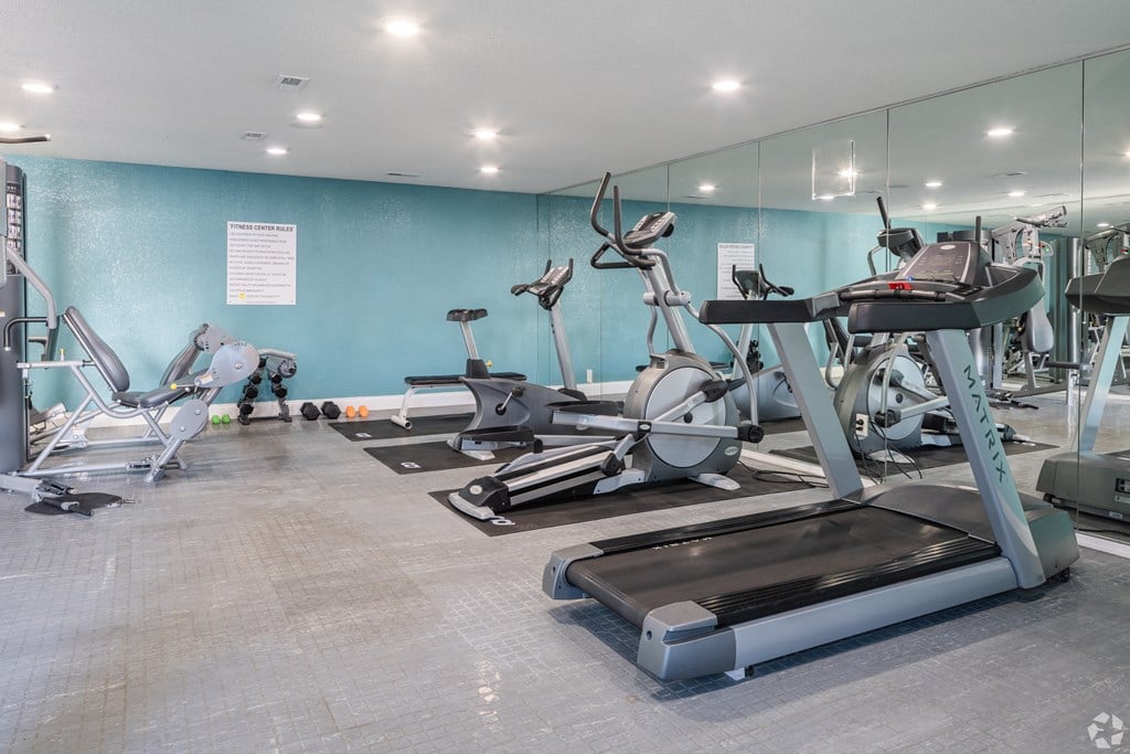 A gym with treadmills, exercise bikes, and other equipment.