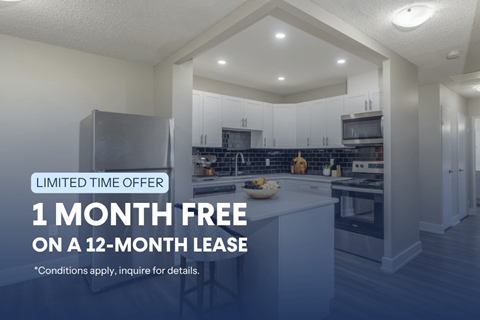 A kitchen with a 1 month free on a 12-month lease offer.