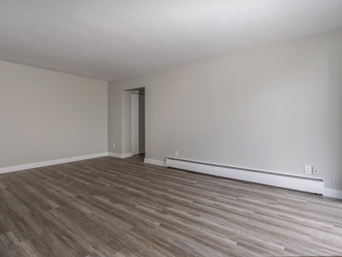 A room with a wooden floor and a door.