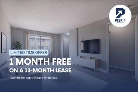 A room with a TV and a window is being advertised for a free month on a 13-month lease.