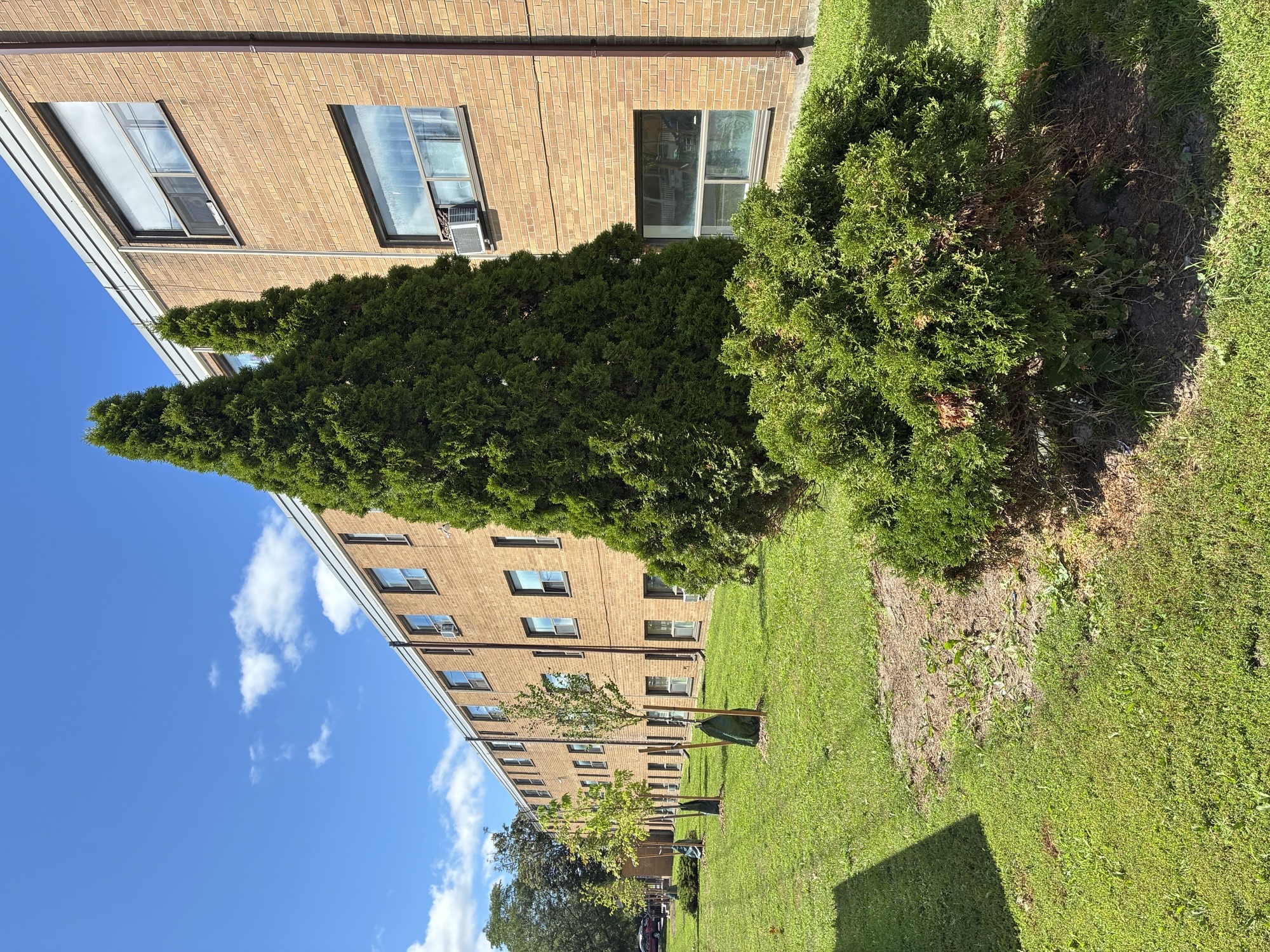 A tall building with a green lawn in front of it.