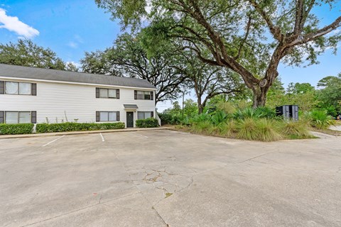 A large tree is in front of a two-story building.