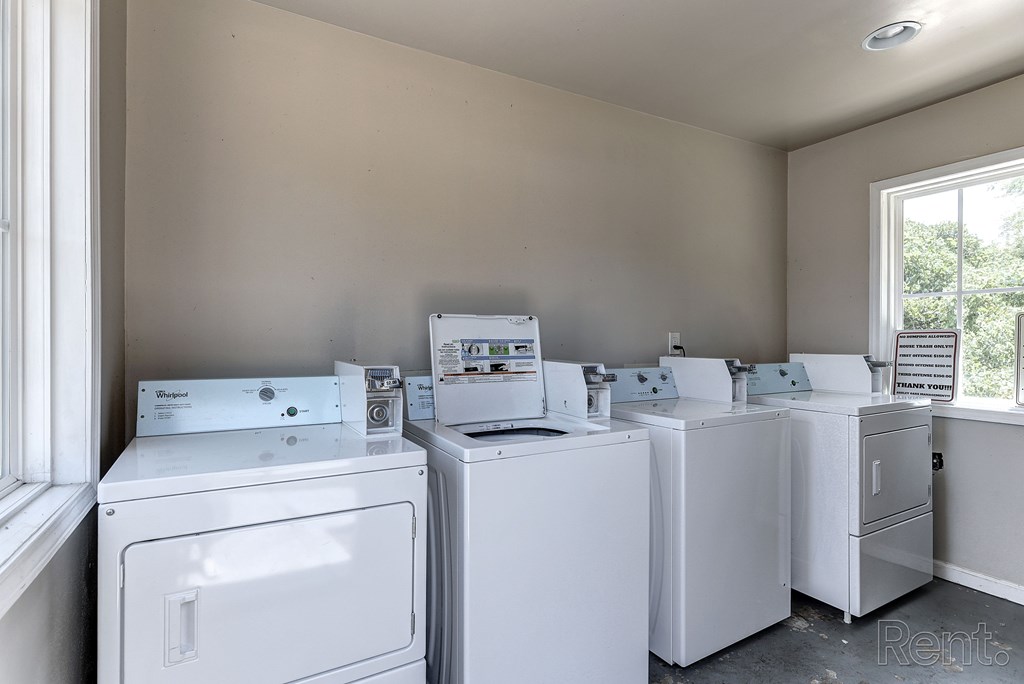 A row of washing machines and dryers in a laundry room.